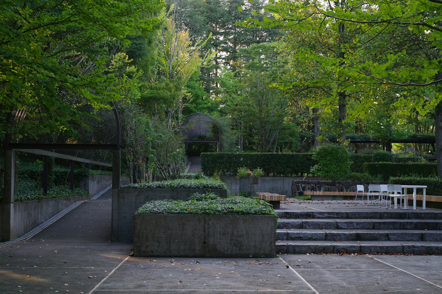 Jardín moderno con maceteros de hormigón y un camino de losas de piedra.